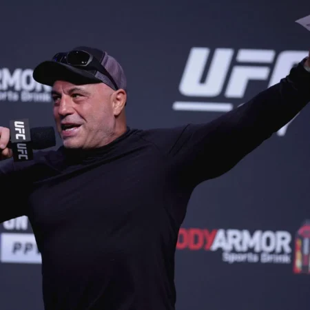 Joe Rogan Defends Referee’s ‘Correct Call’ in Fast UFC 317 KO
