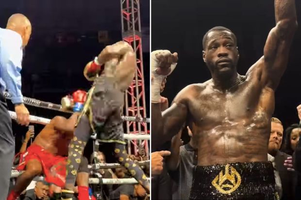 Preview Wilder vs Herndon: Fight Details and Full Card
