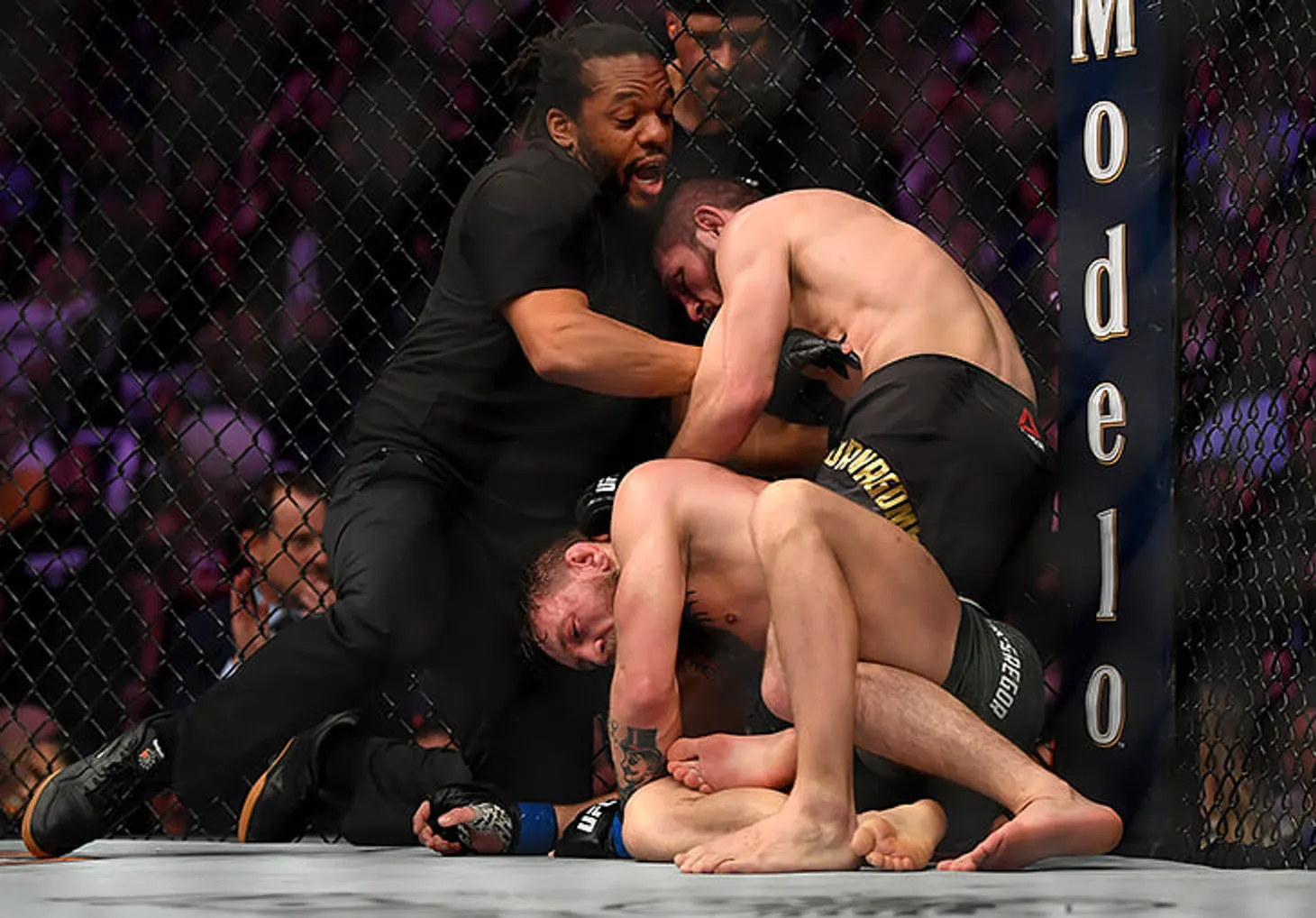 Preview Herb Dean KO’d fighter with one brutal punch for last professional win just months after UFC referee debut
