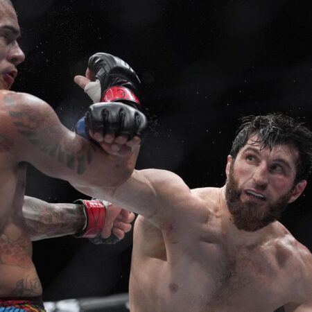 Alex Pereira is told he never would have been light heavyweight champion if UFC didn't 'sandbag' Magomed Ankalaev
