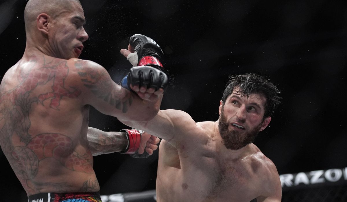 Preview Alex Pereira is told he never would have been light heavyweight champion if UFC didn't 'sandbag' Magomed Ankalaev