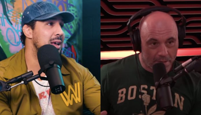 Preview Joe Rogan Explains Why He Urged Brendan Schaub to Retire from MMA