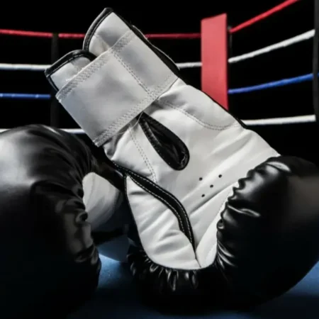 Combat Sports Betting on 1Win, 1xBet, and Mostbet