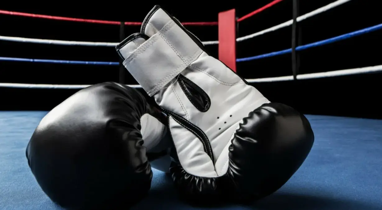 Preview Combat Sports Betting on 1Win, 1xBet, and Mostbet