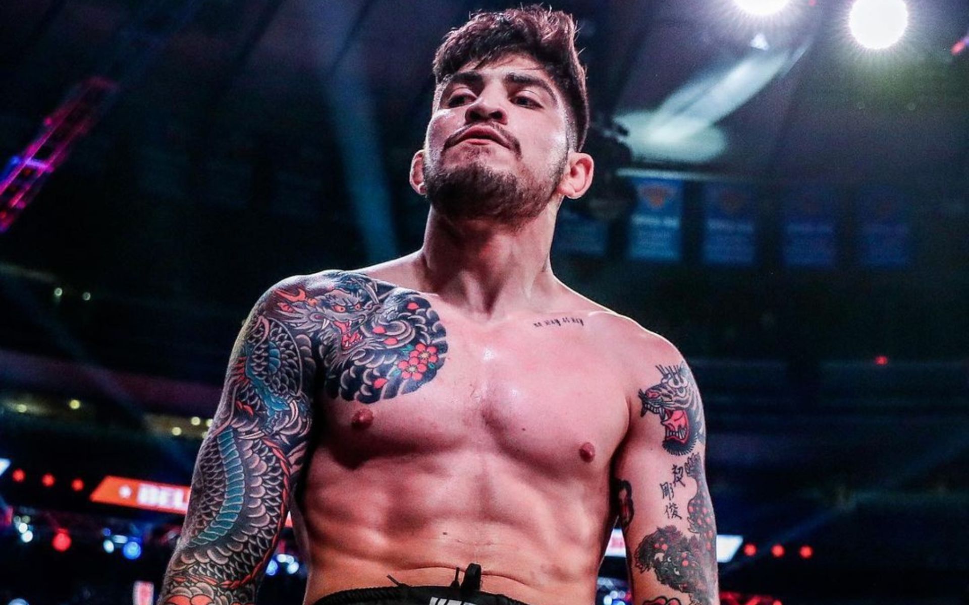 Preview Dillon Danis Wagers $85,000 on UFC 320, Eyeing Recovery After $150k Baseball Loss
