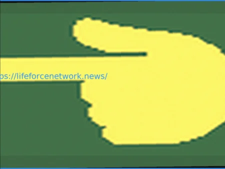 Kickboxing: The Dynamic Workout for Peak Fitness