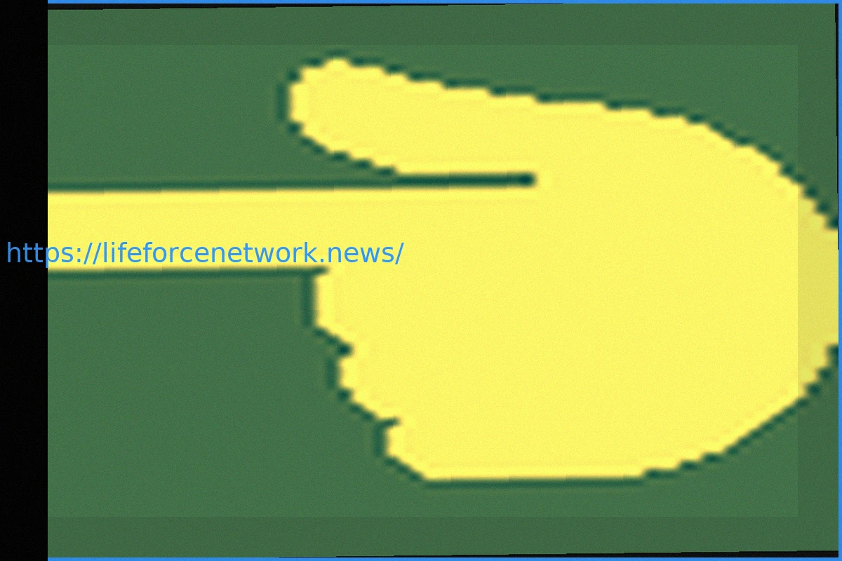 Preview Kickboxing: The Dynamic Workout for Peak Fitness