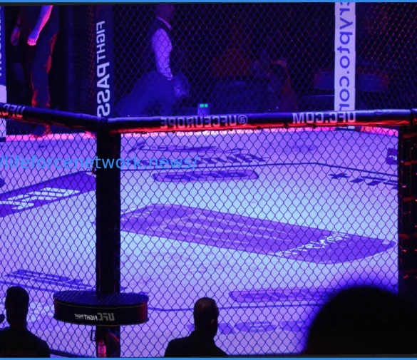 Can TKO Challenge Ticketmaster’s Dominance in Live Events?