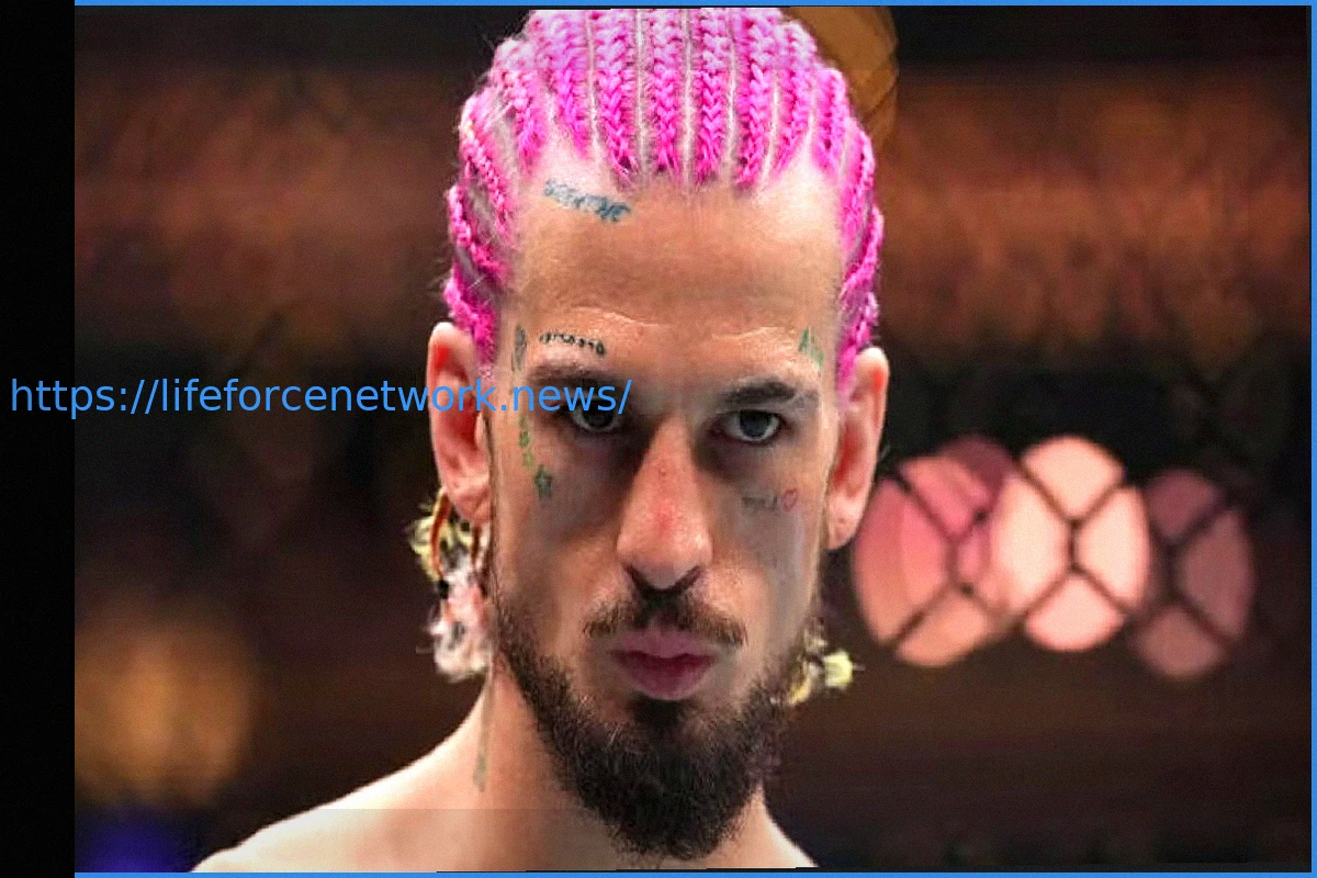 Preview Dana White Considers UFC Stars Alex Pereira and Sean O’Malley for Zuffa Boxing Ventures