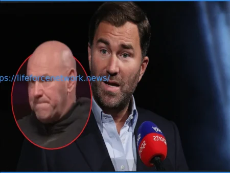 Эдди Хирн Отвечает Дэне Уайту и Zuffa Boxing: «Мы Еще Из Гаража Не Выехали»