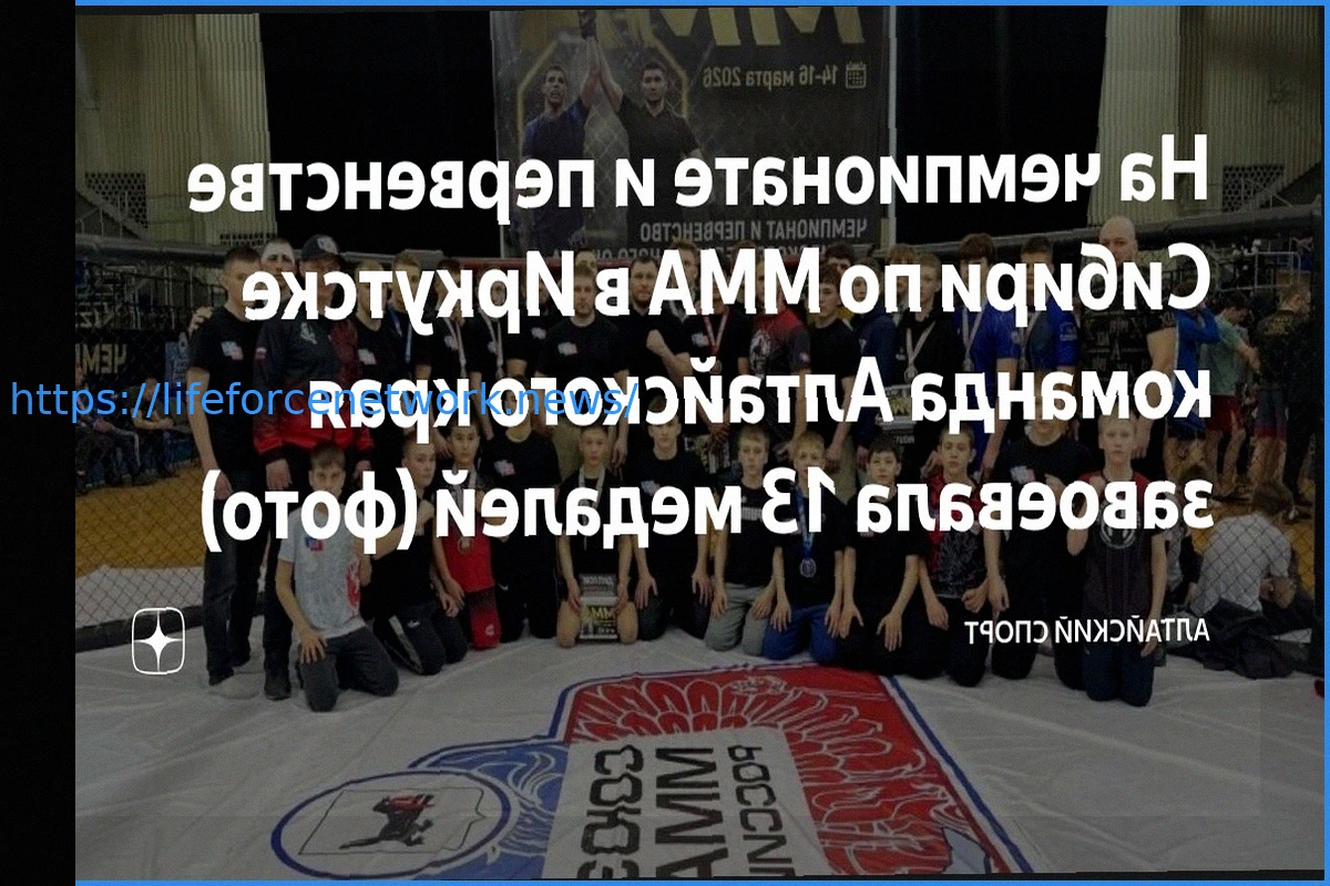 Preview Алтайский край завоевал 13 медалей на чемпионате и первенстве Сибири по ММА в Иркутске
