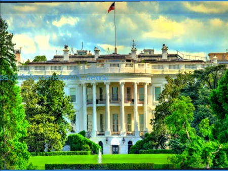 Is the US Insolvent? And Does It Affect The UFC White House Card?