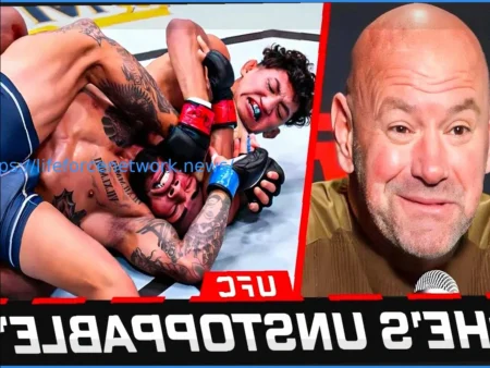 Два правила ММА могут измениться этим летом