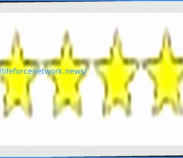 Alycia Baumgardner vs. Bo Mi Re Shin: Full Fight Recap and Analysis