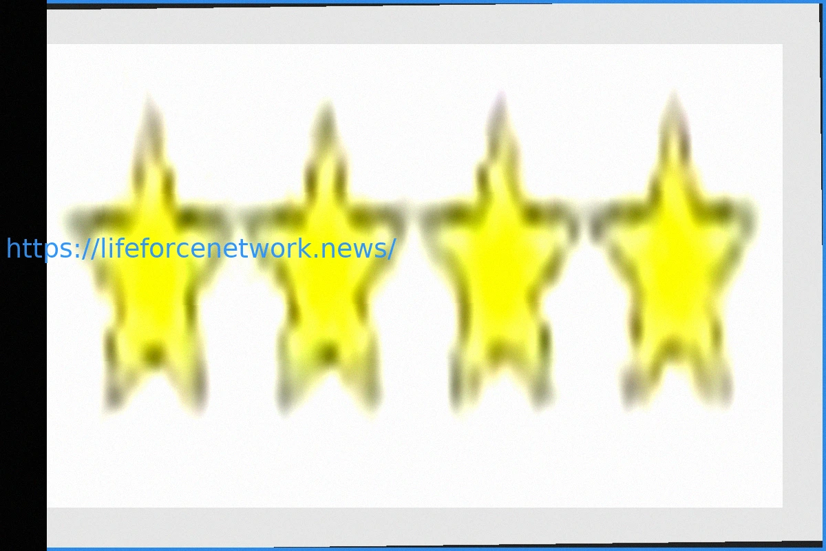 Preview Alycia Baumgardner vs. Bo Mi Re Shin: Full Fight Recap and Analysis