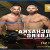 Основные результаты UFC 327: Прохазка против Улберга