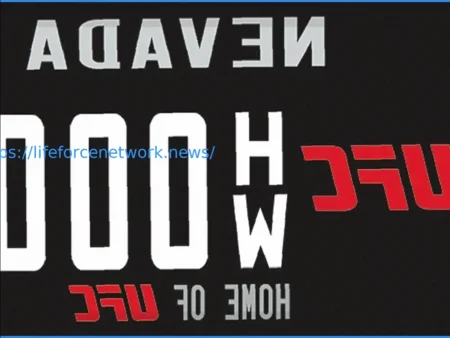 В Техасе теперь доступны персонализированные номерные знаки «UFC lives here»