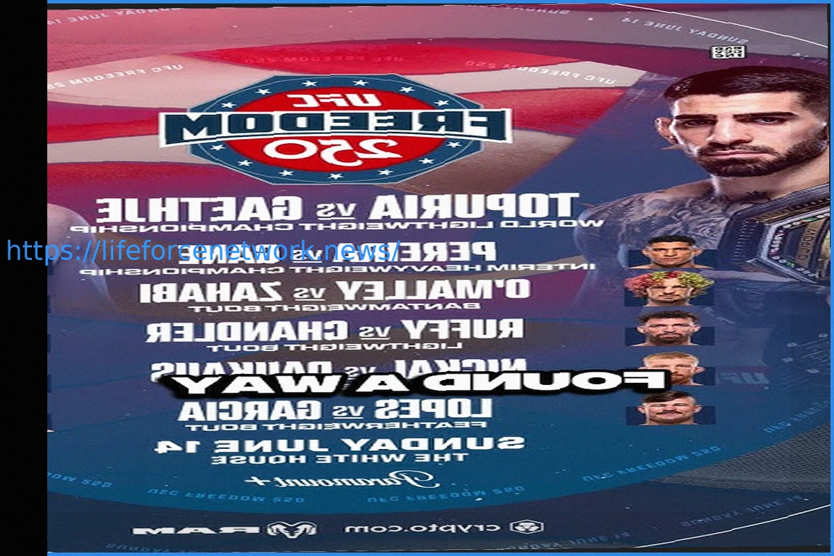 Preview Dan Le Batard Labels White House UFC Event ‘Grotesque’