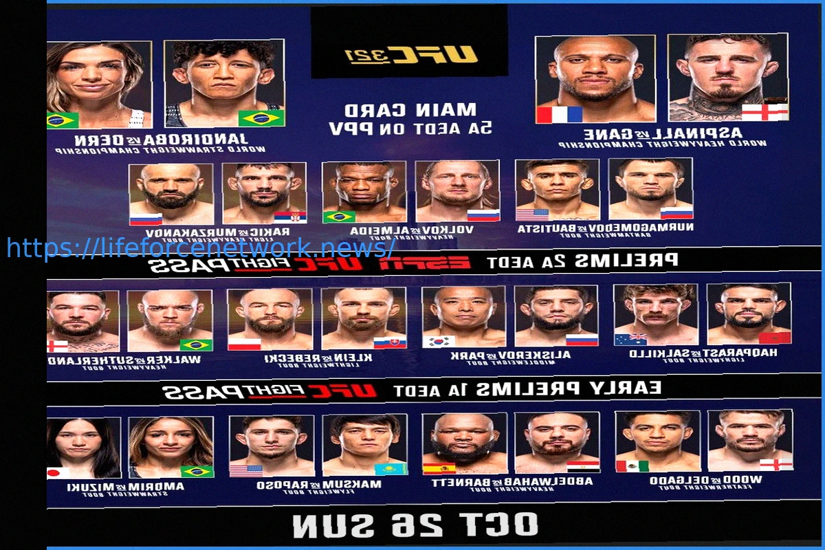 Preview UFC 327: Прогноз поединков – Прохазка против Ульберга