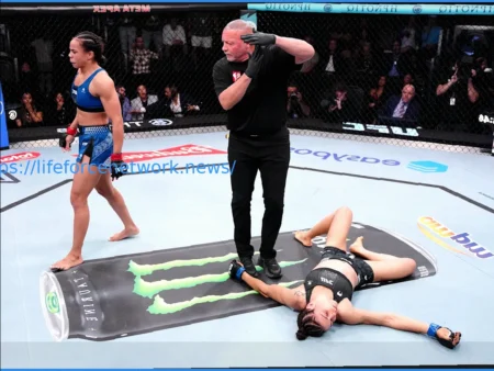 UFC Вегас 115: Предложения по следующим боям