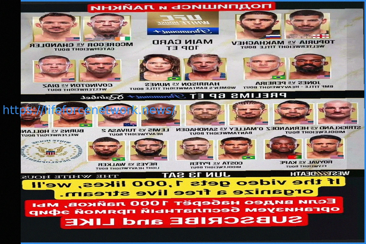 Preview White House UFC Event to Go On Despite Inclement Weather