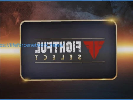 Анализ ставок на предстоящие события в единоборствах