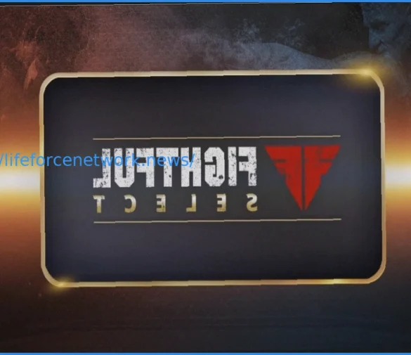 Анализ ставок на предстоящие события в единоборствах