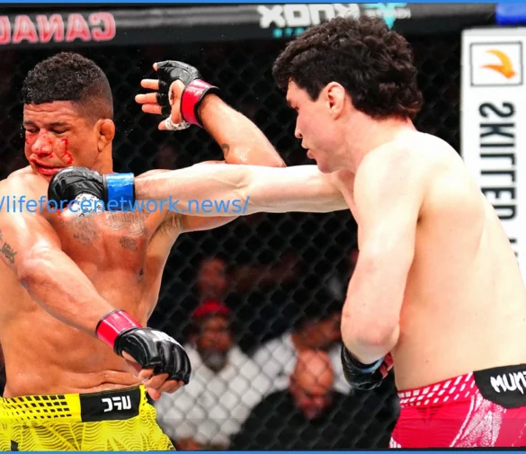 UFC Winnipeg: Возможные следующие бои