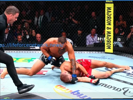 UFC 329: Что ожидать от следующего большого турнира UFC