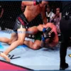 UFC Fighter Appears KO’d by Illegal Kick, Miraculously Continues Bout