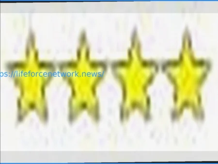 Alycia Baumgardner vs. Bo Mi Re Shin: Full Fight Recap and Analysis