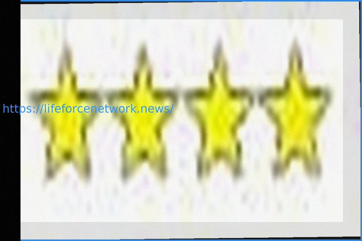 Preview Alycia Baumgardner vs. Bo Mi Re Shin: Full Fight Recap and Analysis