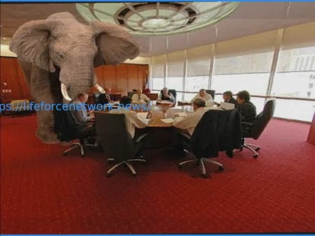 The Elephant in the Room at the British Boxing Board of Control Won’t Leave