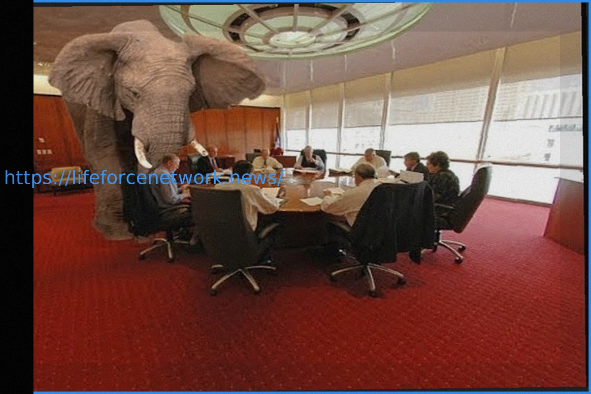 Preview The Elephant in the Room at the British Boxing Board of Control Won’t Leave