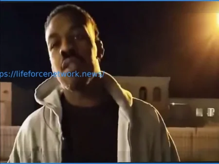 Предстоящие Бои После UFC Vegas 115