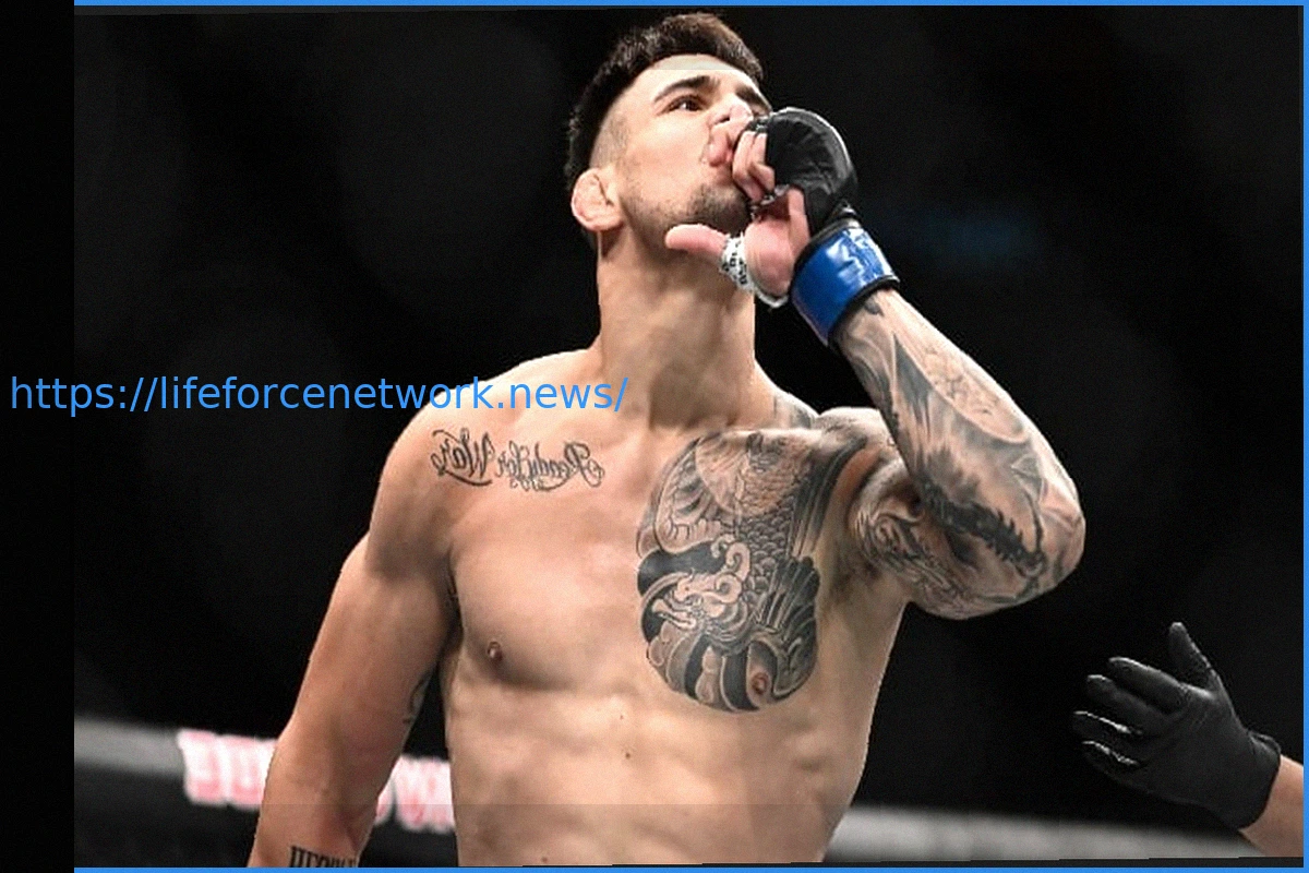 Preview UFC Белград: Начало чего-то большего?